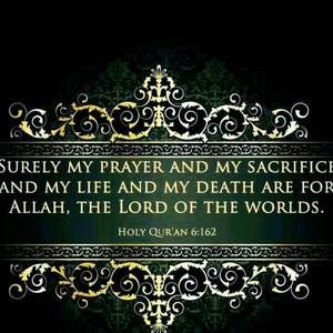 Meet your Posher, Abu